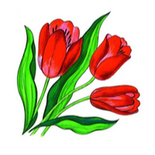 ЦВЕТЫ В САДУ И ДОМА