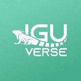 IGUVERSE