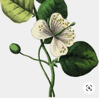 PRO РУКОДЕЛИЕ | АРХИВ КНИГ