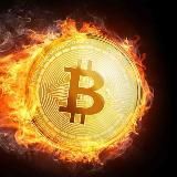BTC | CRYPTO NEWS | DARKNET