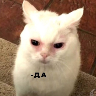 ИТОГОВОЕ СОЧИНЕНИЕ 2022-2023 @BOTAEM_WITH_LISA