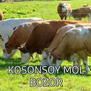 KOSONSOY MOL BOZOR