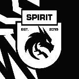 TEAM SPIRIT