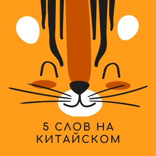 5 СЛОВ НА КИТАЙСКОМ