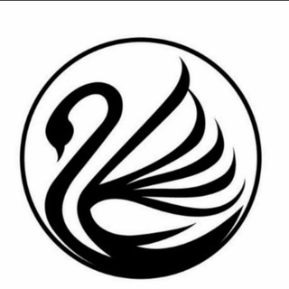 STRATEGI OLYMPTRADE