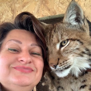 AMUR&KITTIES