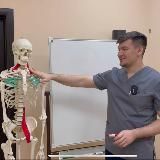 АНТОН АЛЕКСЕЕВ