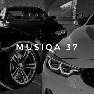 MUSIQA 37 