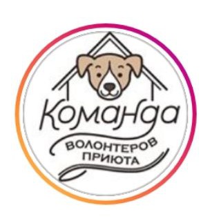 SOBAKI_PRIUTA_NEKRASOVKA