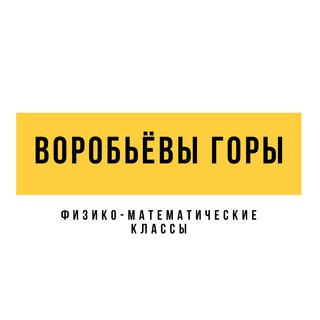 ПРИЁМ 2023. ЛИЦЕЙ «ВОРОБЬЁВЫ ГОРЫ». ФИЗИКО-МАТЕМАТИЧЕСКИЕ КЛАССЫ НА ДОНСКОЙ И В ЯСЕНЕВО