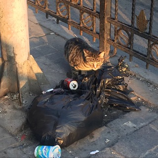 ЗАЧЕМ