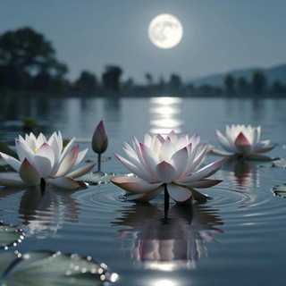 МЕДИТАЦИЯ С INSIDE