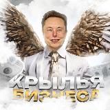 КРЫЛЬЯ БИЗНЕСА