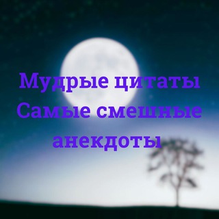МУДРЫЕ СЛОВА И НЕ ТОЛЬКО
