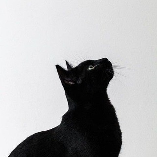 MOODS.PACE