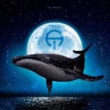 PIRATE DÉ CRYPTO