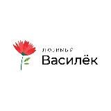 ЛЮБИМЫЙ ВАСИЛЁК