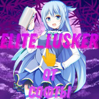 СОФТЫ ОТ ELITE LUSKER