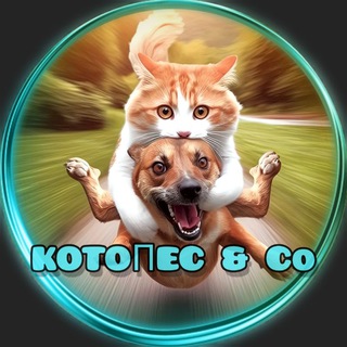 КОТОПЁС & СO