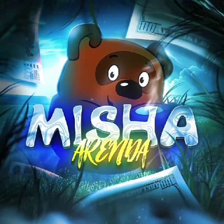 АРЕНДА МИШИ