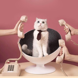ОТКРЫТА ВАКАНСИЯ! | РАБОТА В DIGITAL & SERVICES