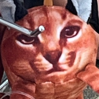 ПЕРДЮЧКА