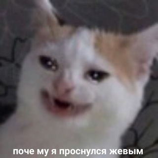 РАДИ ЧЕГО Я ЖИВУ