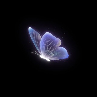 КНИЖНЫЙ ШКАФ 2.0