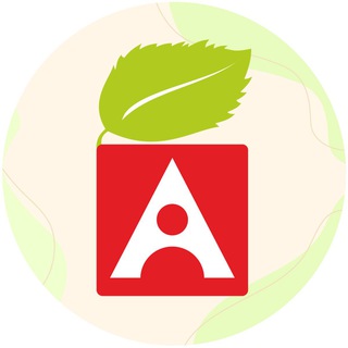 РАЗВИВАЮЩИЕ ИГРУШКИ ALATOYS | АЛАТОЙС