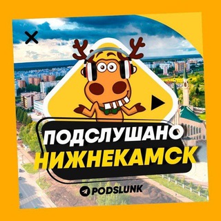ПОДСЛУШАНО НИЖНЕКАМСК