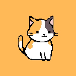 TON CAT