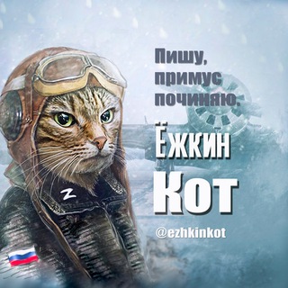 ЁЖКИН КОТ Z