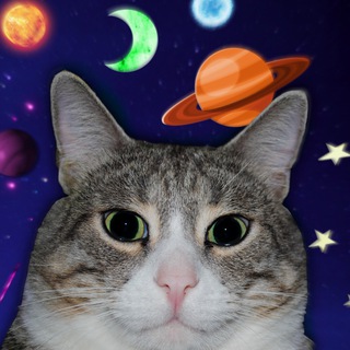 KEKSICKOT