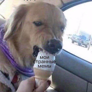 МЕМЫСКРЕПЫ