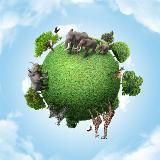 REAL NATURE