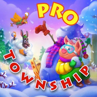 PRO TOWNSHIP