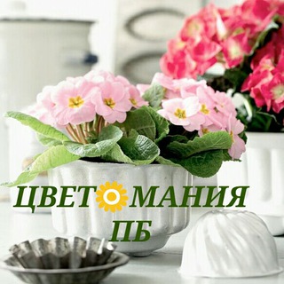ЦВЕТМАНИЯ ЖК ПБ