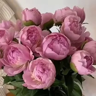 ОТЗЫВЫ @MALVABLOG