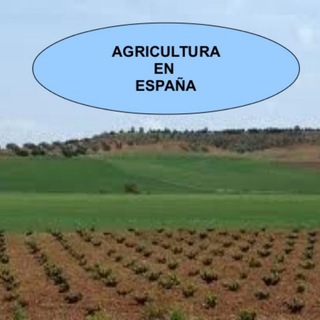 AGRICULTURA ESPAÑOLA