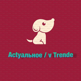 ACTУАЛЬНОЕ / V ТRENDE