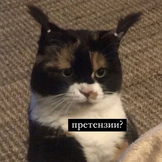 АЙМВИОЛА