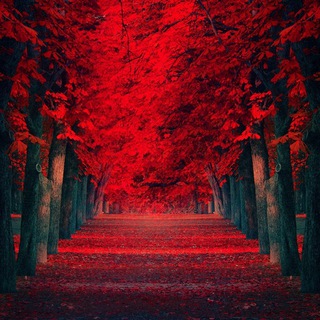RED CHANNEL