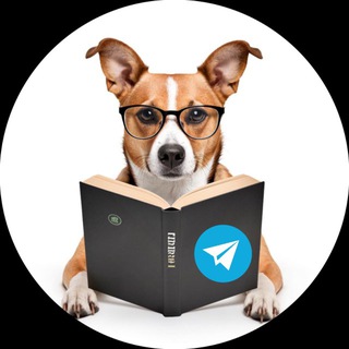 DOGМАТИКА