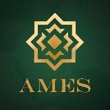 ЦЕ AMES: КОМЕНТАРІ, ОЦІНКИ, ПОГЛЯДИ