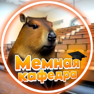 МЕМЫ КАИСТОВ | ЧАТ-БОТ И ПРИЛОЖЕНИЕ