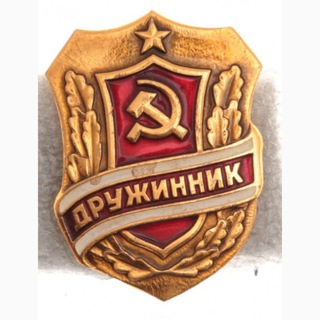 ДРУЖИННИК
