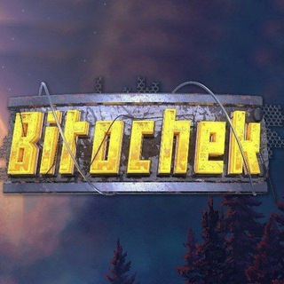 BITOCHEKTEAM