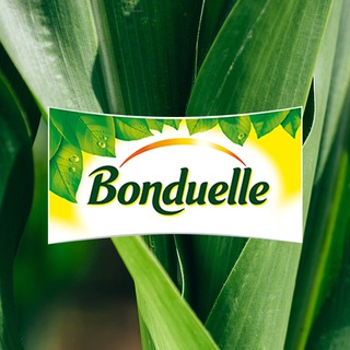BONDUELLE