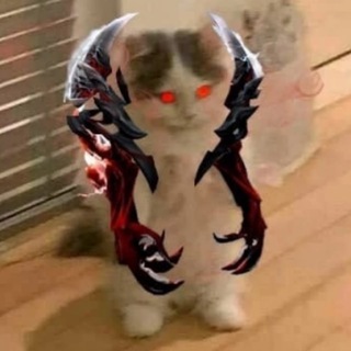 КОТИКИ ДОТА 2 | DOTA 2