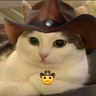 КОТЕКИ ДЛЯ НАСТРОЕНИЯ